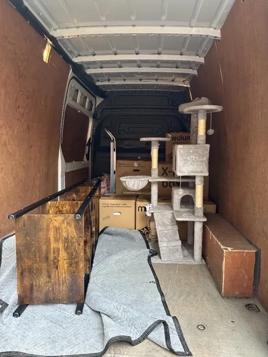 Moving van — cat tree and furniture Moving van interior with a large cat tree, rustic wood furniture, and cardboard boxes for a professional collection service